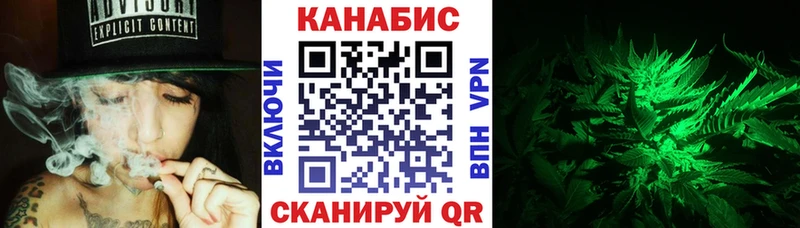 Купить где  Иркутск  Конопля сатива 